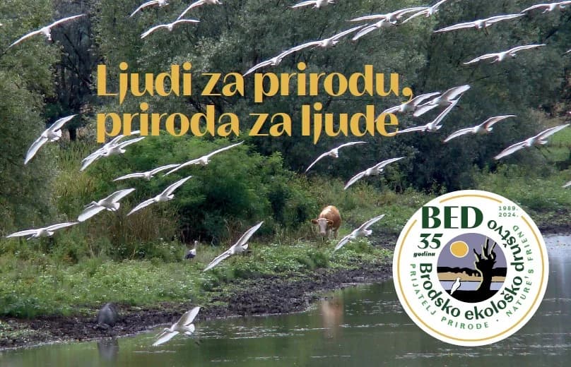 Dodijeljen Zeleni leptir za rad Brodskog ekološkog društva na Gajni !