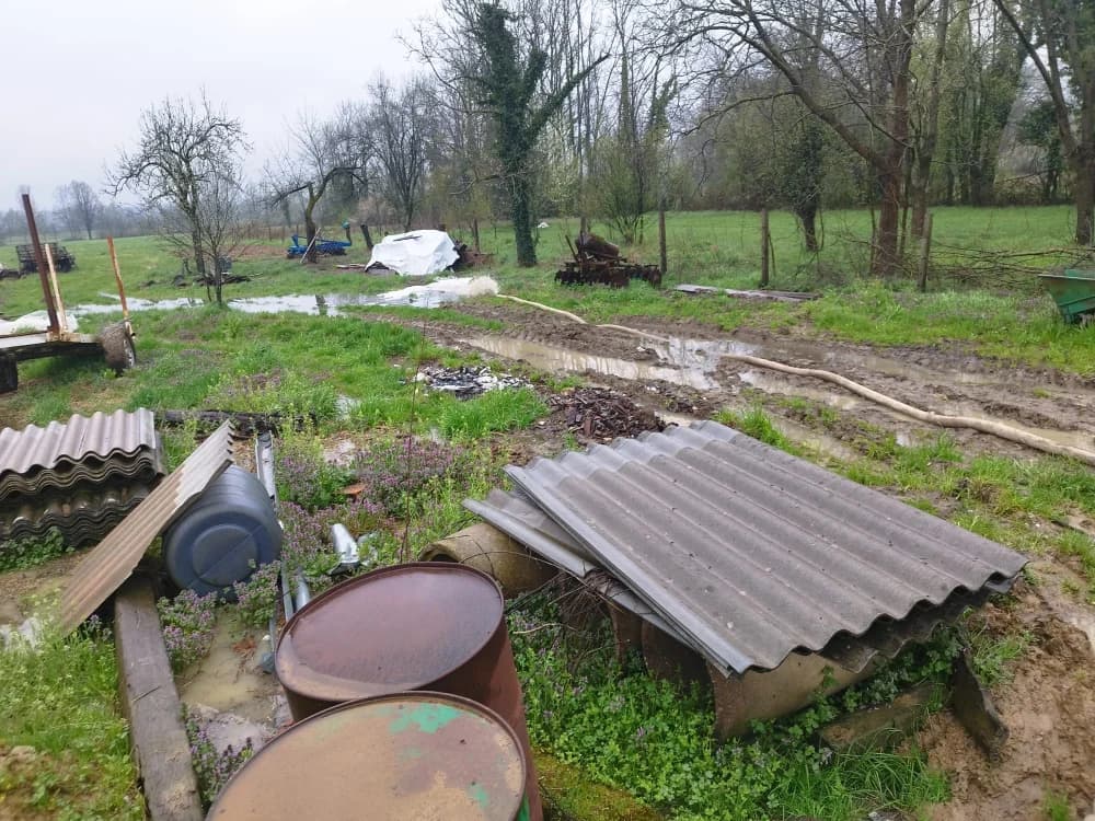 Spašavano gotovo 300 stoke s poplavljenog područja u Donjoj Bebrini (FOTO/VIDEO)