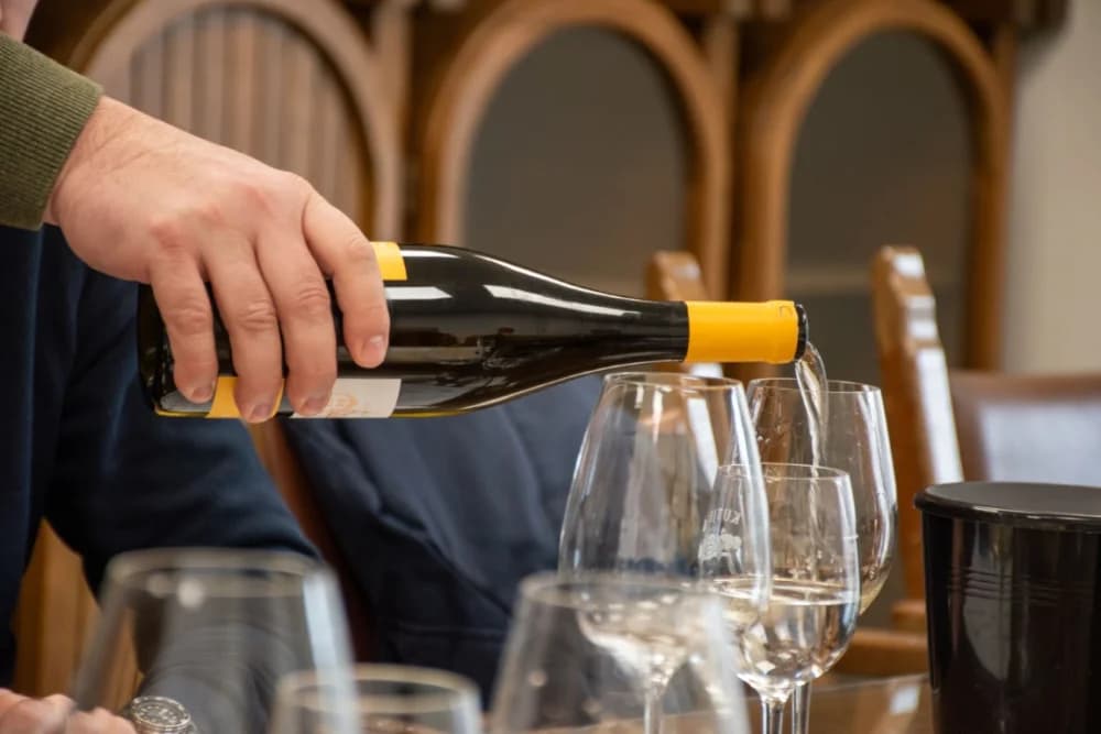 Ekskluzivna selekcija novih vina u Trezoru 1232