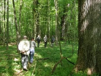 DVADESETA GODINA JAVNE USTANOVE NATURA SLAVONICA: Od 2006. do danas