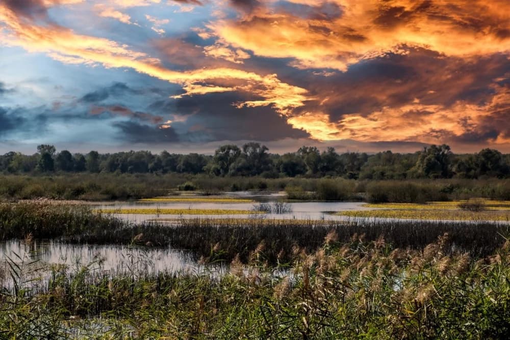 DVADESETA GODINA JAVNE USTANOVE NATURA SLAVONICA: Od 2006. do danas