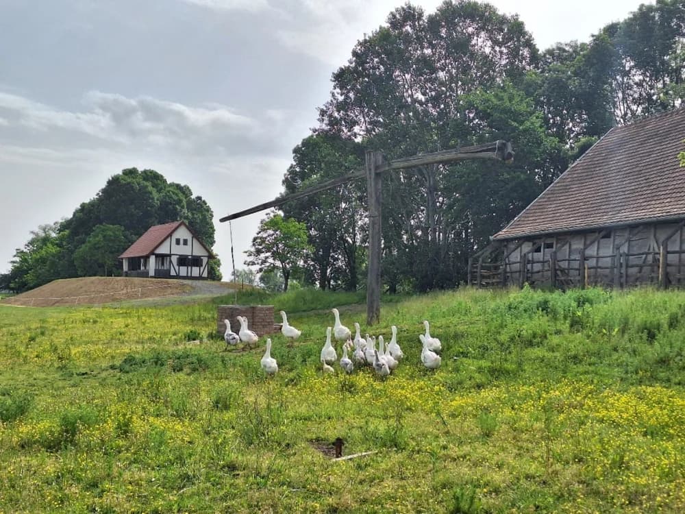 DVADESETA GODINA JAVNE USTANOVE NATURA SLAVONICA: Od 2006. do danas