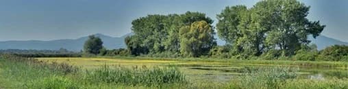 DVADESETA GODINA JAVNE USTANOVE NATURA SLAVONICA: Od 2006. do danas