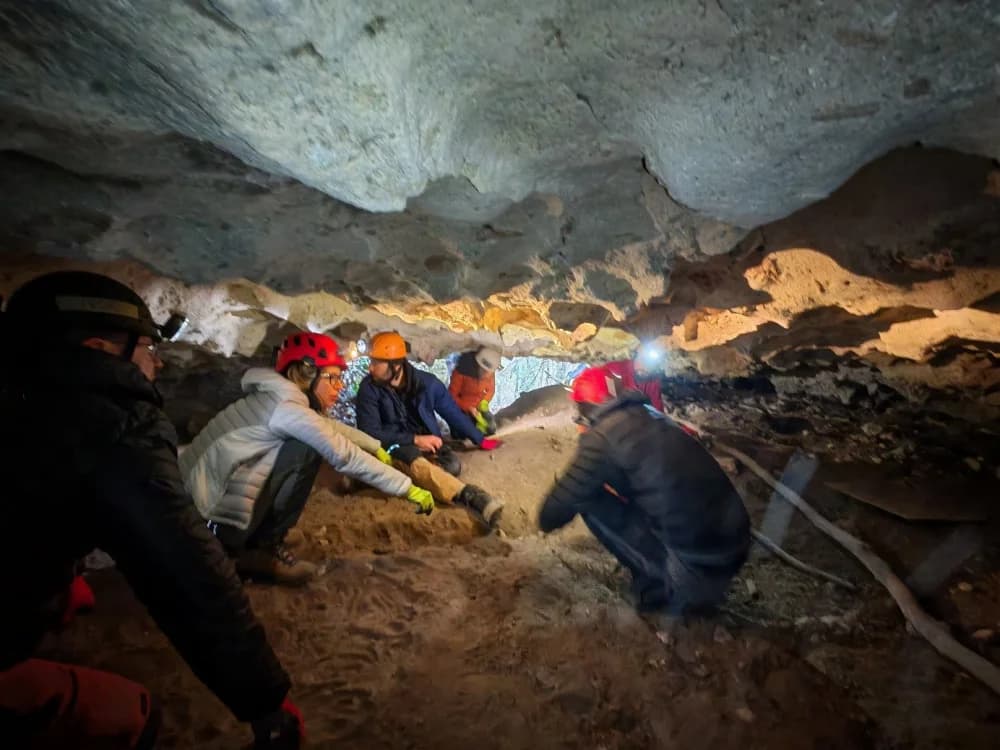 DVADESETA GODINA JAVNE USTANOVE NATURA SLAVONICA: Od 2006. do danas
