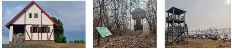 DVADESETA GODINA JAVNE USTANOVE NATURA SLAVONICA: Od 2006. do danas