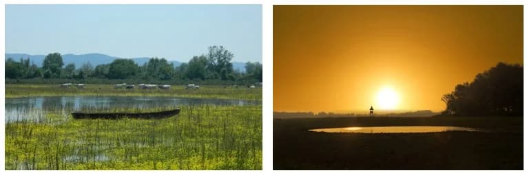 DVADESETA GODINA JAVNE USTANOVE NATURA SLAVONICA: Od 2006. do danas