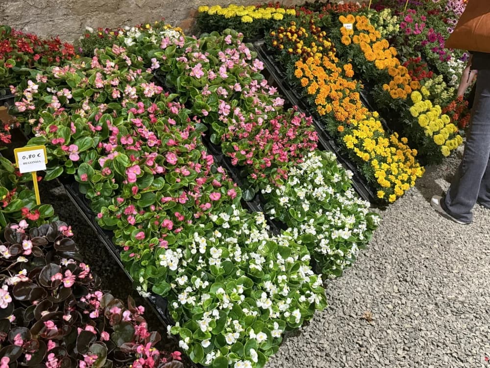 Otvoren 17. sajam cvijeća „Florafest“
