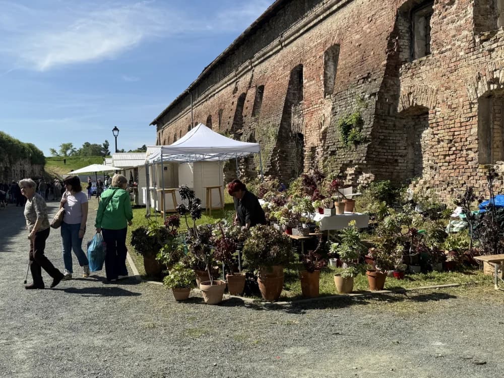 Otvoren 17. sajam cvijeća „Florafest“