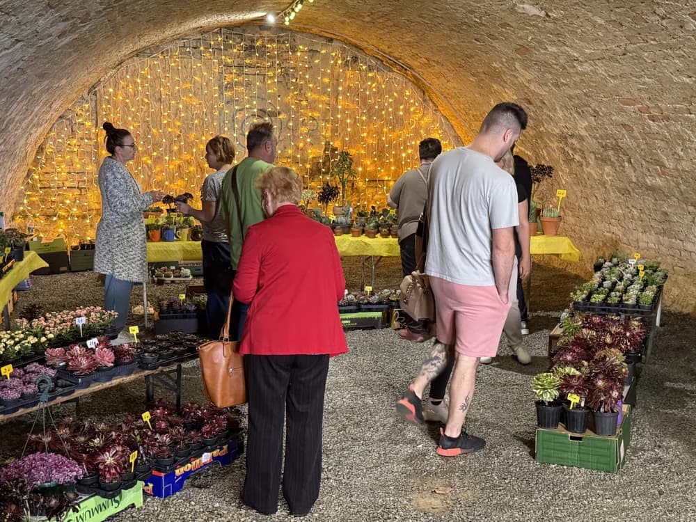 Otvoren 17. sajam cvijeća „Florafest“