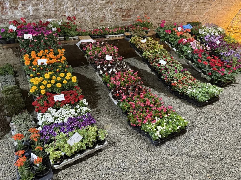 Otvoren 17. sajam cvijeća „Florafest“