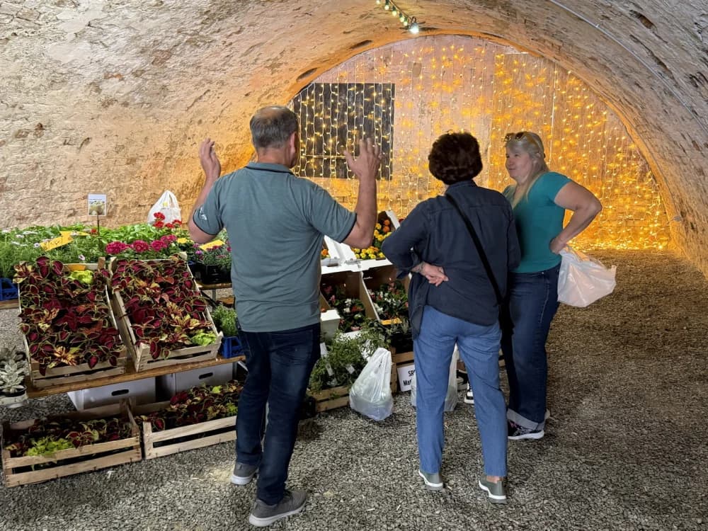 Otvoren 17. sajam cvijeća „Florafest“
