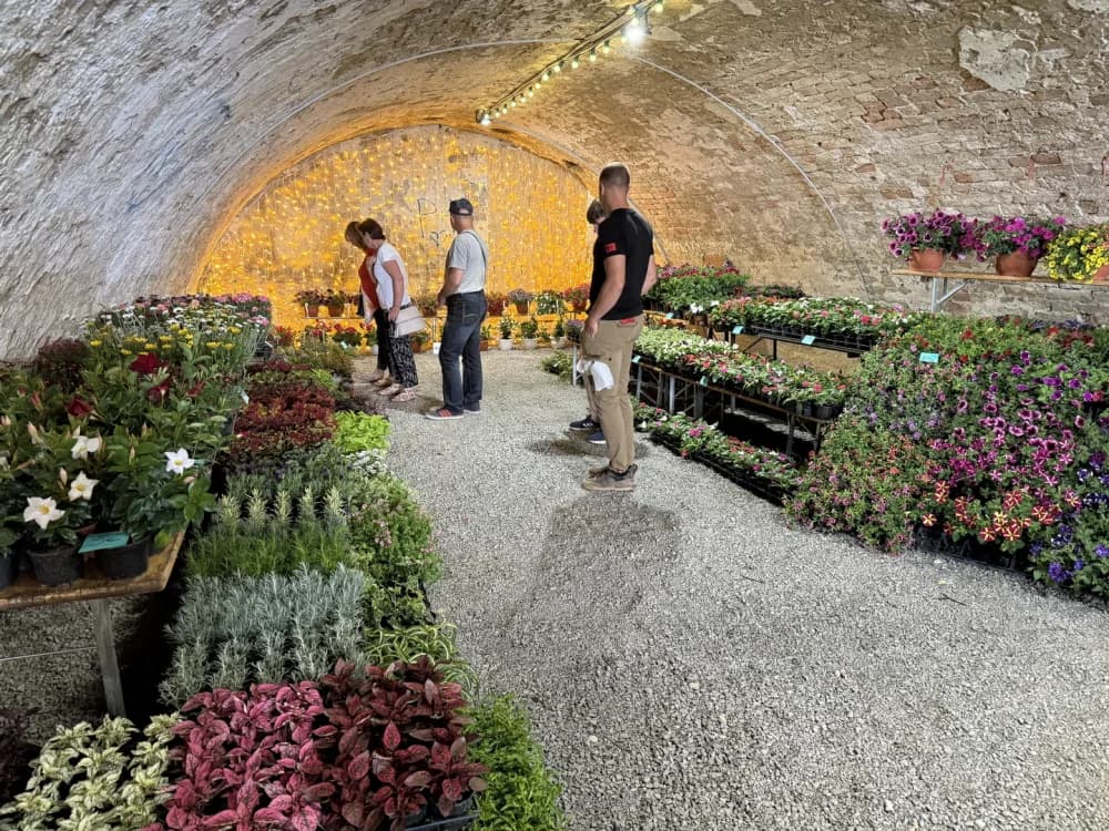 Otvoren 17. sajam cvijeća „Florafest“