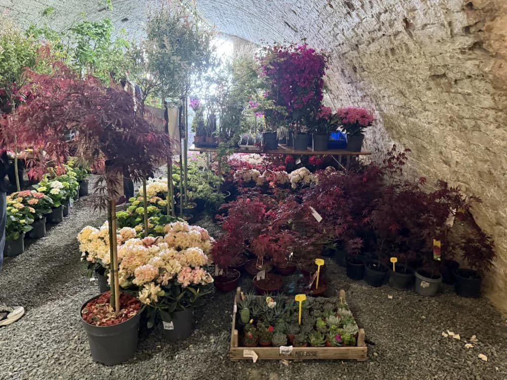 Otvoren 17. sajam cvijeća „Florafest“