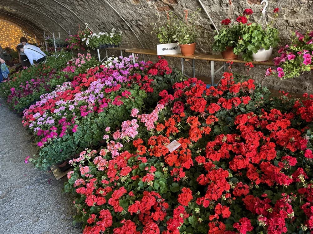 Otvoren 17. sajam cvijeća „Florafest“