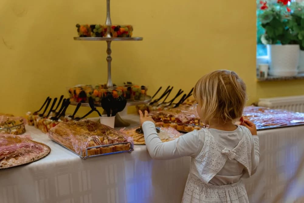 Održan predizborni skup Domovinskog pokreta u Sl. Brodu