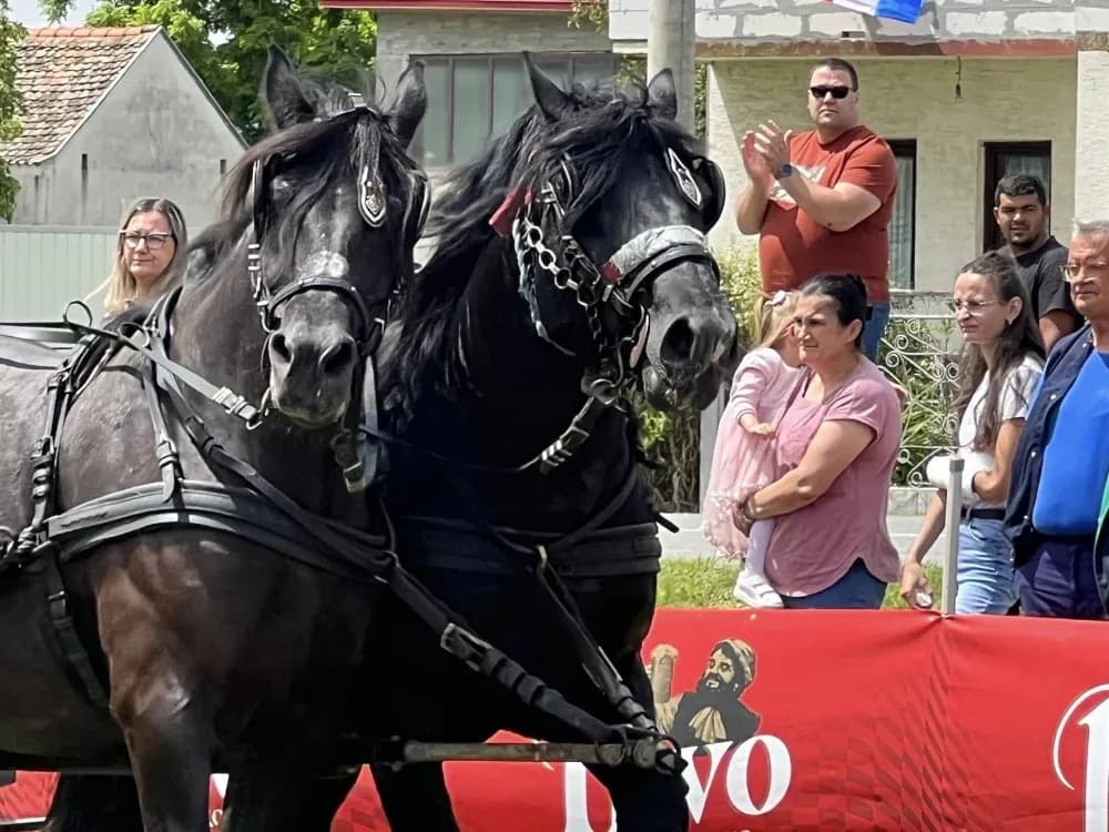 U Brodskom Stupniku održana Županijska izložba hrvatskog hladnokrvnjaka