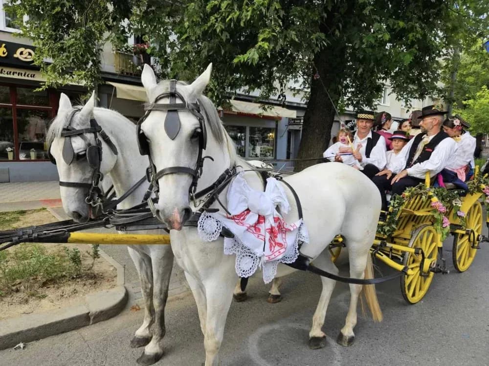 Uskoro središnji program najvažnije i najstarije folklorne manifestacije u Lijepoj Našoj - 61. BRODSKO KOLO