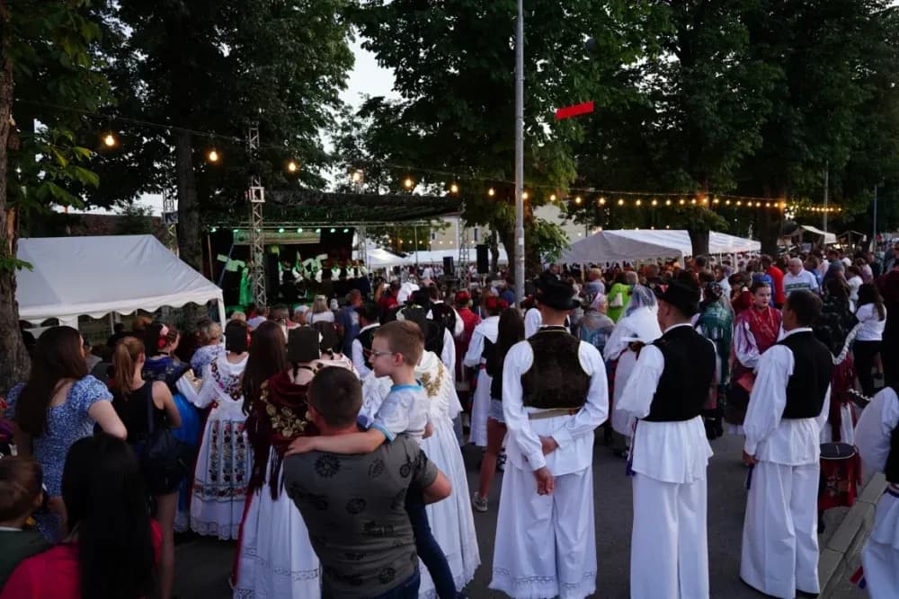 LJETO U SIBINJU: Brojna publika oduševljena nastupom KUD-ova i Slavonskih lola