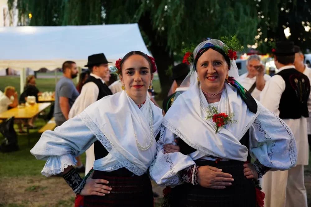 LJETO U SIBINJU: Brojna publika oduševljena nastupom KUD-ova i Slavonskih lola