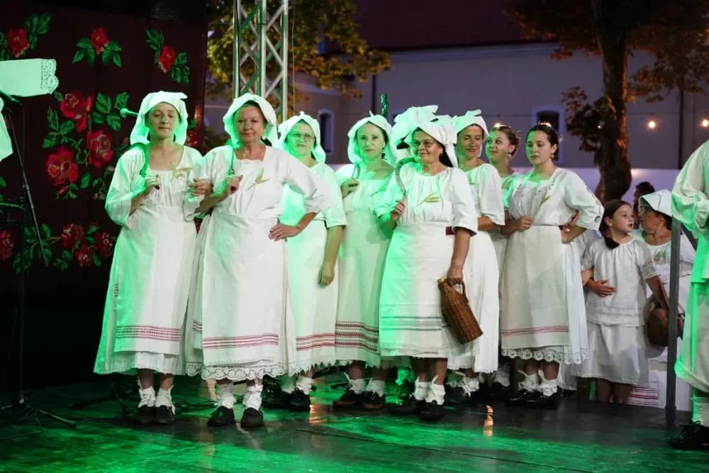 LJETO U SIBINJU: Brojna publika oduševljena nastupom KUD-ova i Slavonskih lola