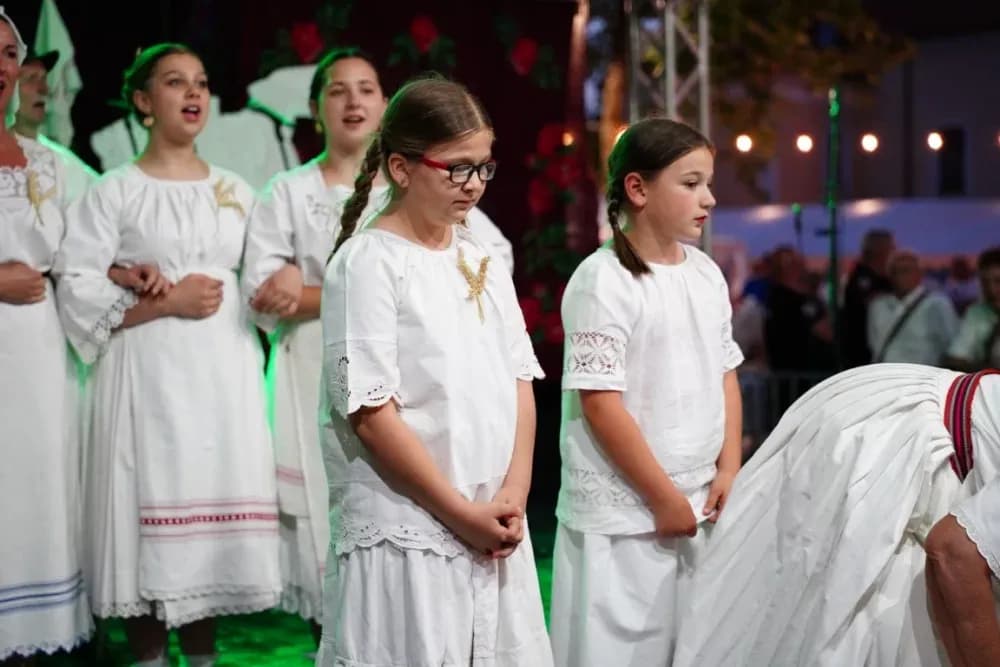 LJETO U SIBINJU: Brojna publika oduševljena nastupom KUD-ova i Slavonskih lola