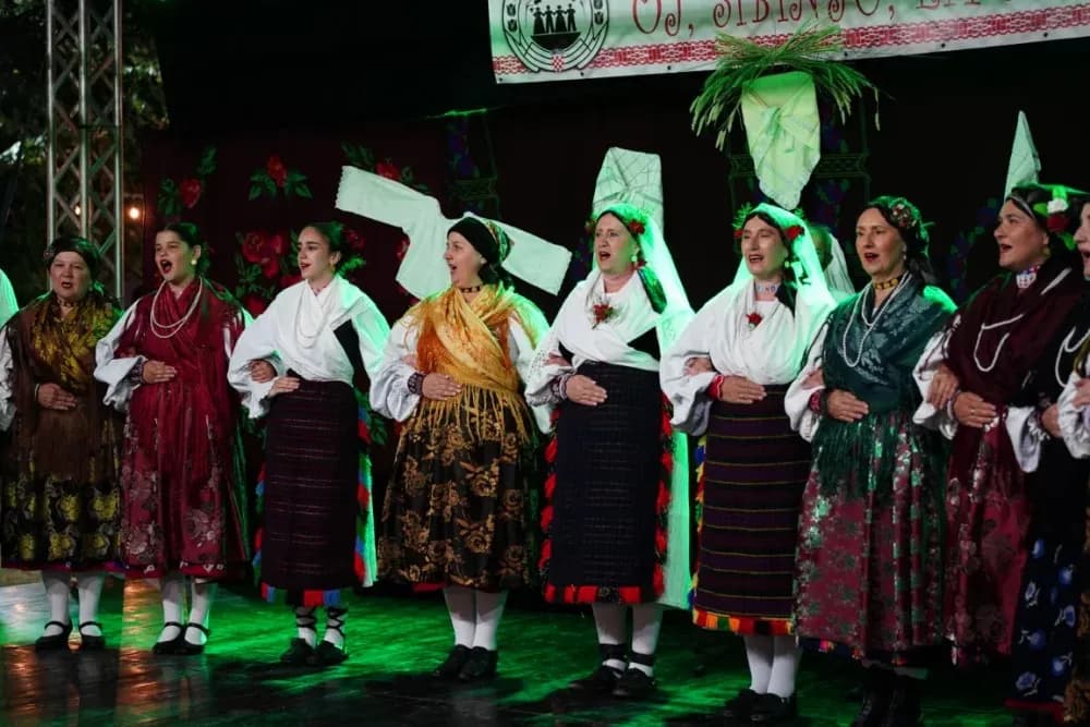 LJETO U SIBINJU: Brojna publika oduševljena nastupom KUD-ova i Slavonskih lola