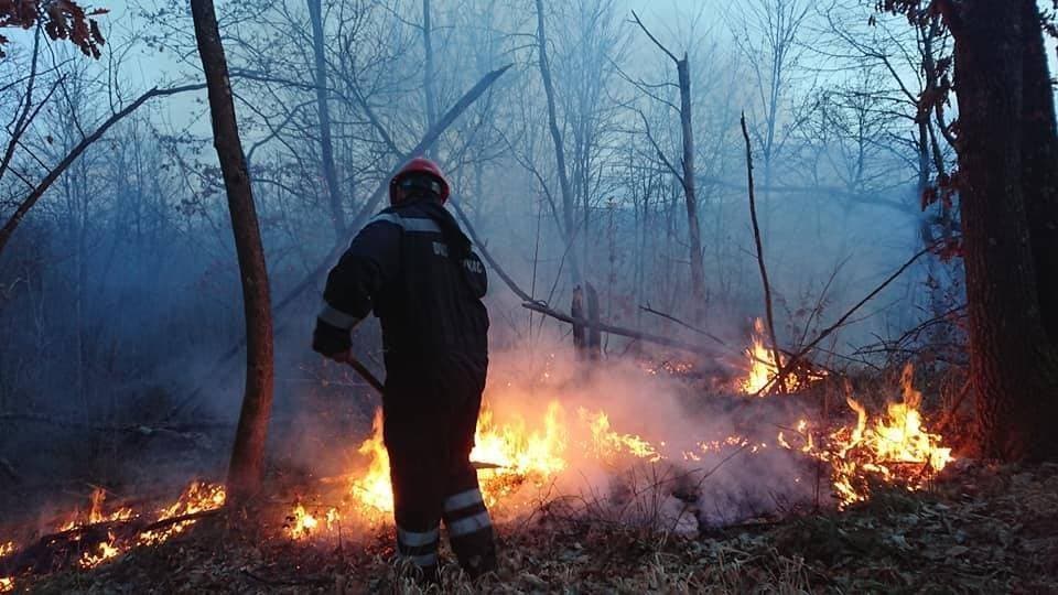 Povorka konjanika i konjskih zaprega ta članova kulturno-umjetničkih društava ulicama grada Pleternice