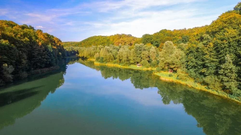 Petnja