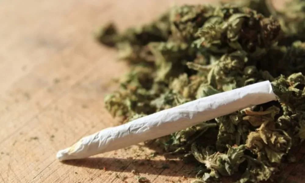 Marihuana