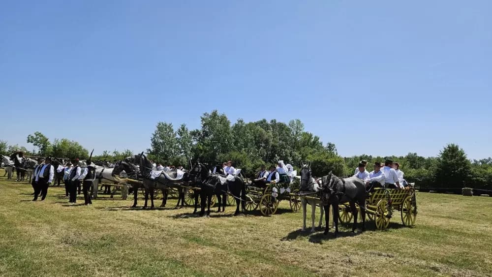 Konji vrani - povorka svatovskih zaprega i jahača u Velikoj Kopanici