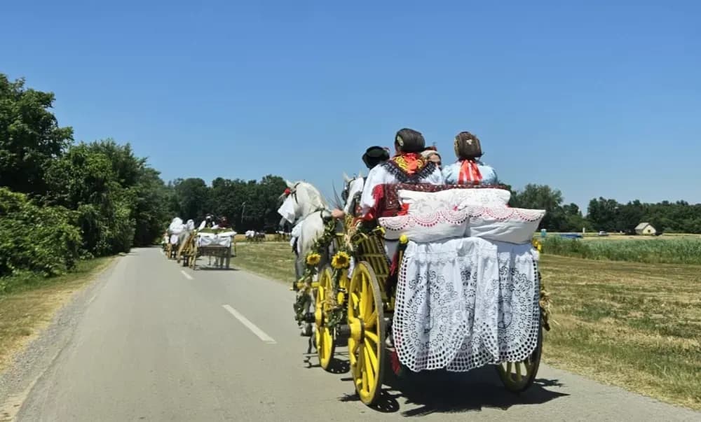 Konji vrani - povorka svatovskih zaprega i jahača u Velikoj Kopanici