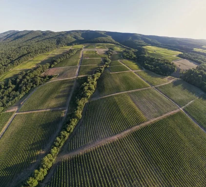 Jedina vinarija koja je i u 2025. ponovno dokazala snagu graševine