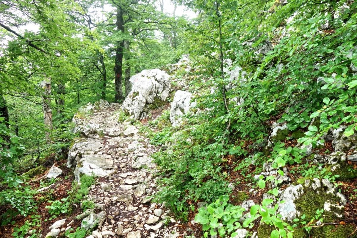 Općinski načelnik Bukovlja Igor Đaković uručio nagrade učenicima za izvrsnost na državnim i županijskim natjecanjima