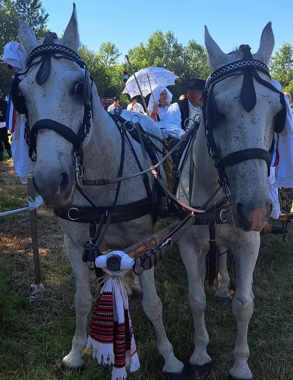 ʼAlaj volim ići u svatoveʼ - po treći put...