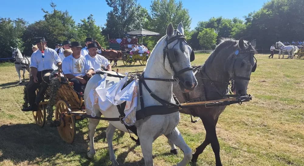 ʼAlaj volim ići u svatoveʼ - po treći put...