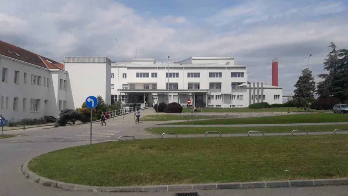 SUMMER FEST 2025.: Legenda narodne glazbe popularni Mate Bulić pjeva u Vetovu 14. kolovoza