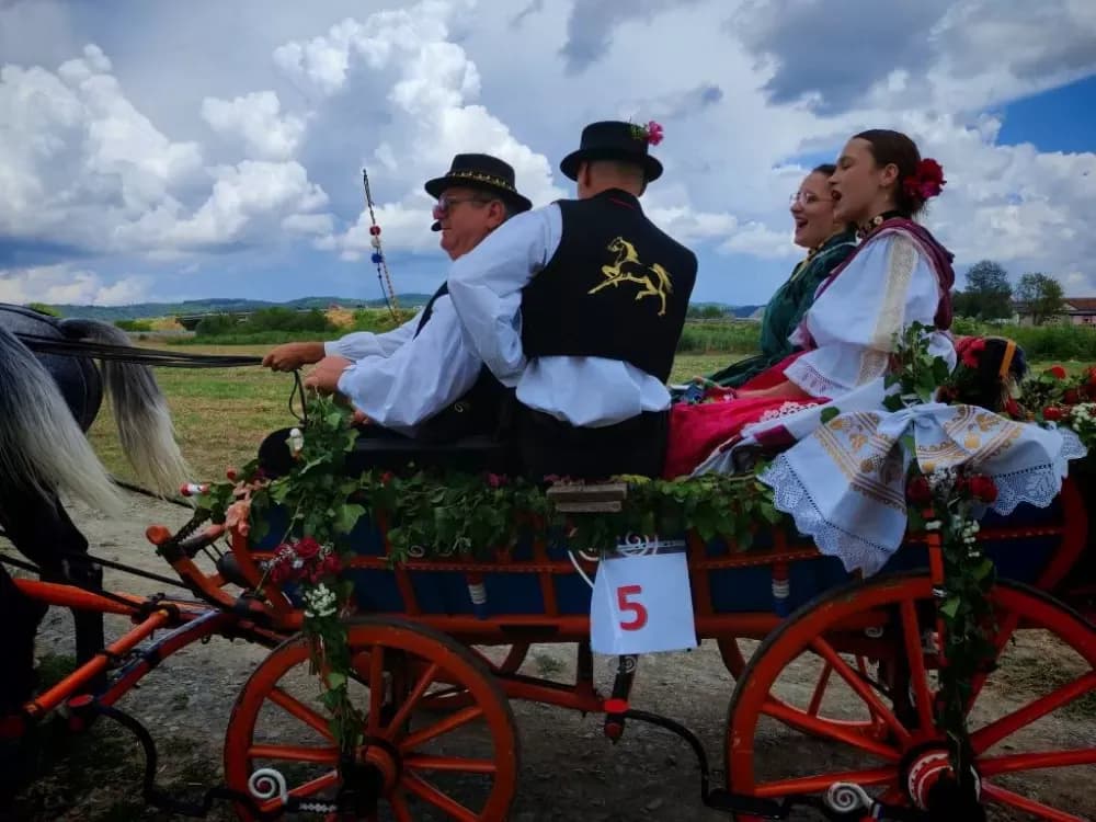 ʼNe idem iz Slavonijeʼ - tradicionalna manifestacija u Lužanima koja je okupila zaljubljenike u konje, slavonsku baštinu i običaje