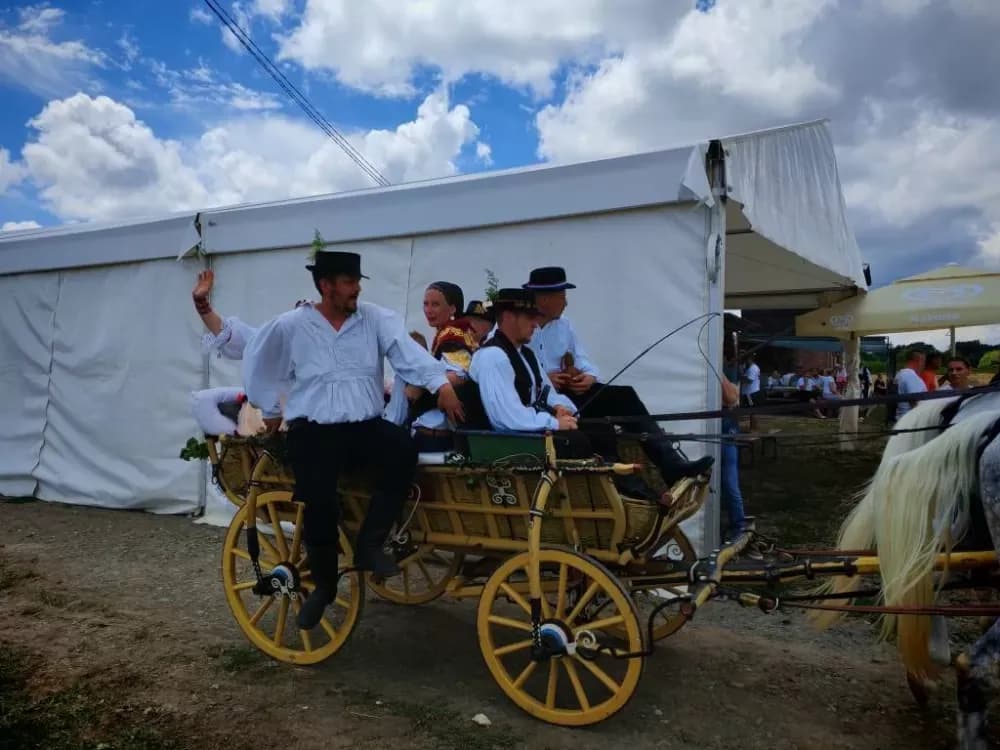 ʼNe idem iz Slavonijeʼ - tradicionalna manifestacija u Lužanima koja je okupila zaljubljenike u konje, slavonsku baštinu i običaje