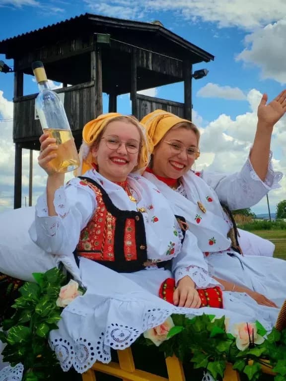 ʼNe idem iz Slavonijeʼ - tradicionalna manifestacija u Lužanima koja je okupila zaljubljenike u konje, slavonsku baštinu i običaje
