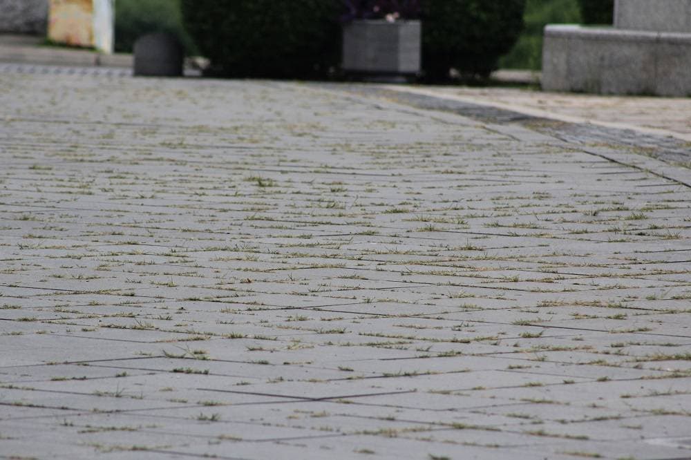 Polaganjem vijenaca i paljenjem svijeća u Pleternici odana počast poginulim braniteljima