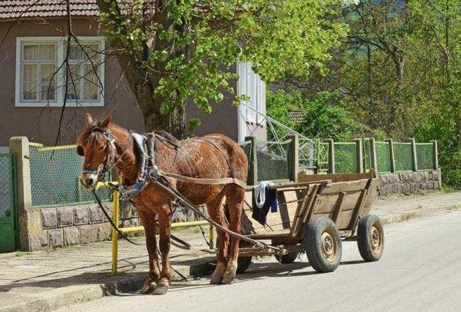 Povodom Dana pobjede i domovinske zahvalnosti te Dana hrvatskih branitelja odana počast svim poginulim, nestalim i umrlim hrvatskim braniteljima