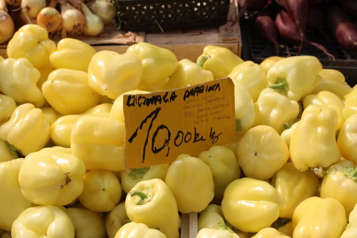 Uz čitanje imena čija se nalaze na Spomeniku odana počast za sve poginule i pale branitelje
