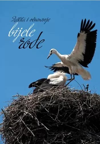 Zaštita i očuvanje bijele rode, ali i posavskoga sela!