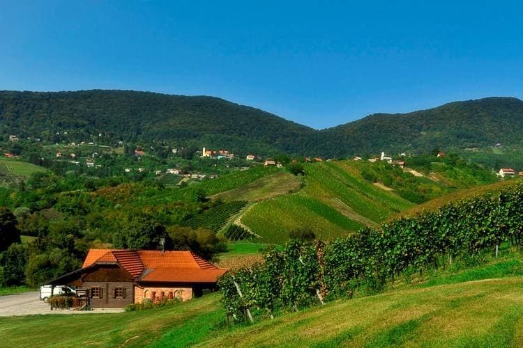 Na Trgu bećarca poslije svete mise održan koncert duhovne glazbe