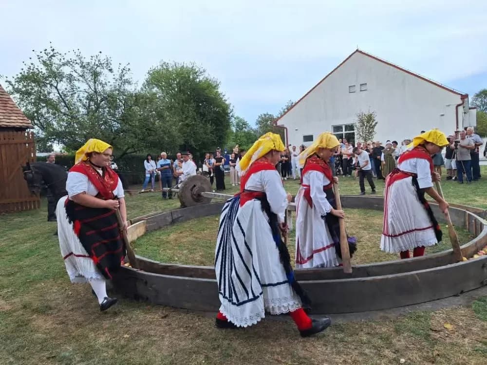[FOTOGALERIJA] Sve onako kako se to nekad radilo: 44. Ižmača u Beravcima