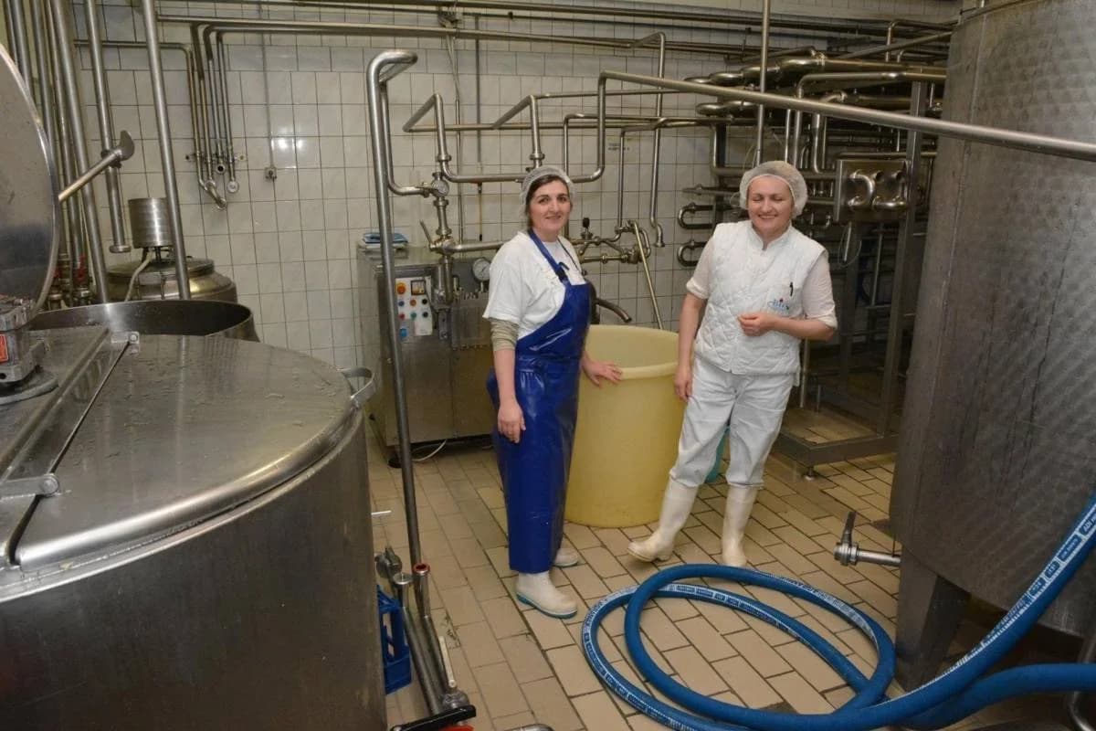 Predstavljena knjiga „Zapisani nezaboravljeni“ autorice Željke Rezo iz Požege