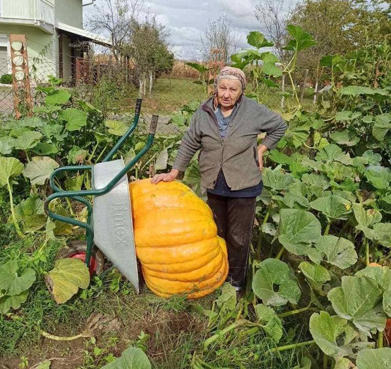 [FOTO] Pleternički umirovljenici prisustvovali  mimohodu na „Vinkovačkim jesenima“ te posjetili Đakovo-srce Slavonije