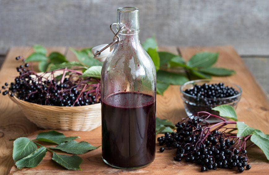 (FOTOGALERIJA) Dan berbe u Vinariji Kutjevo d.d. uz zanimljiva natjecanja