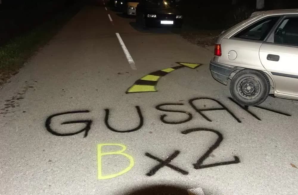 Slavonska fešta za pamćenje: Rođeni blizanci Bruno i Borna, slavilo se uz perje, pjesmu i 90. rođendan pradjeda