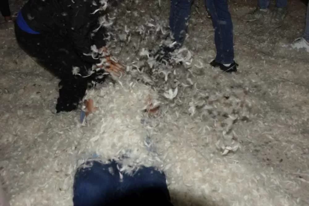 Slavonska fešta za pamćenje: Rođeni blizanci Bruno i Borna, slavilo se uz perje, pjesmu i 90. rođendan pradjeda